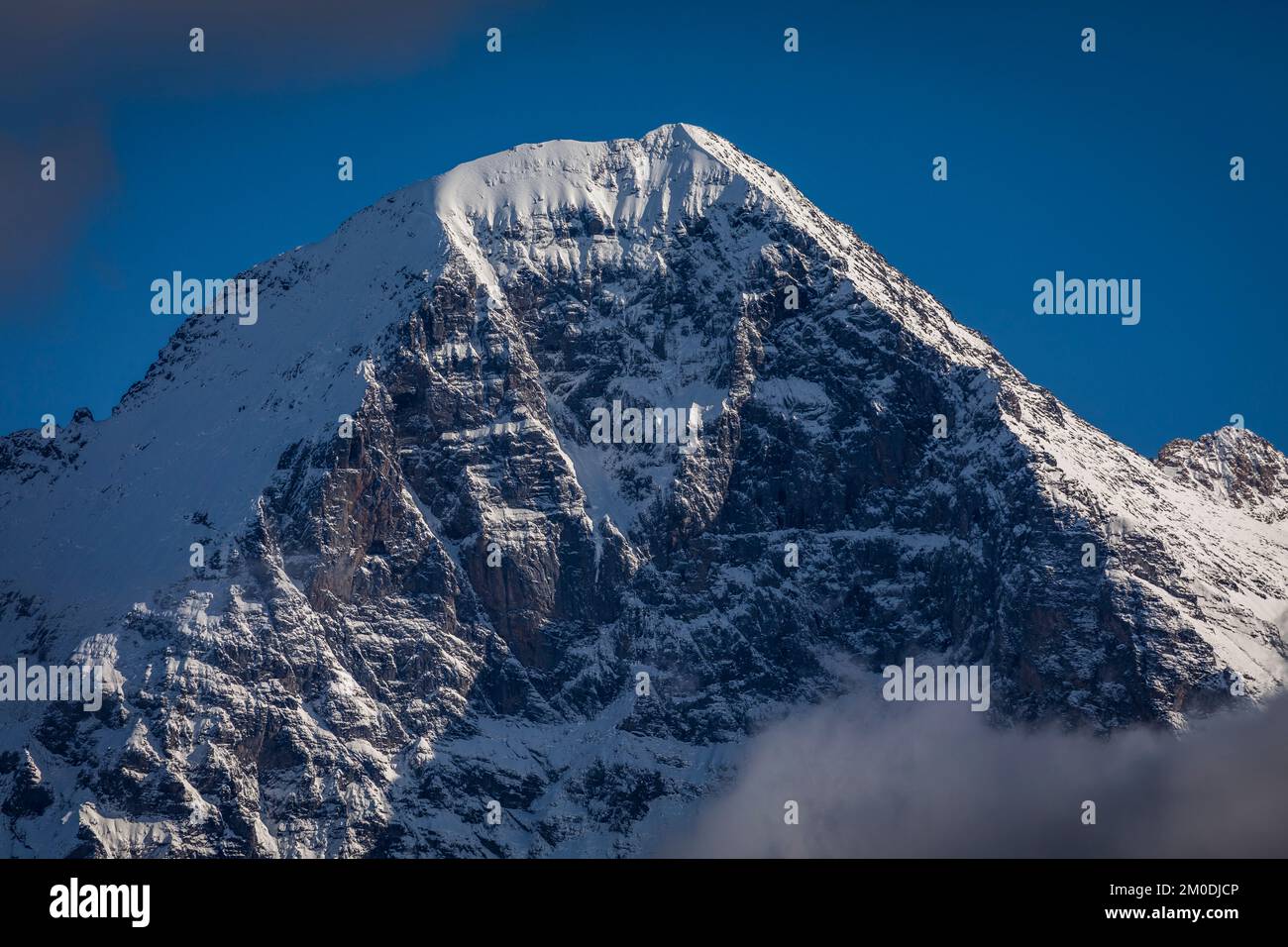 Monte Misty Eiger, alpi Svizzere Bernesi, vista da Schynige Platte, Svizzera Foto Stock