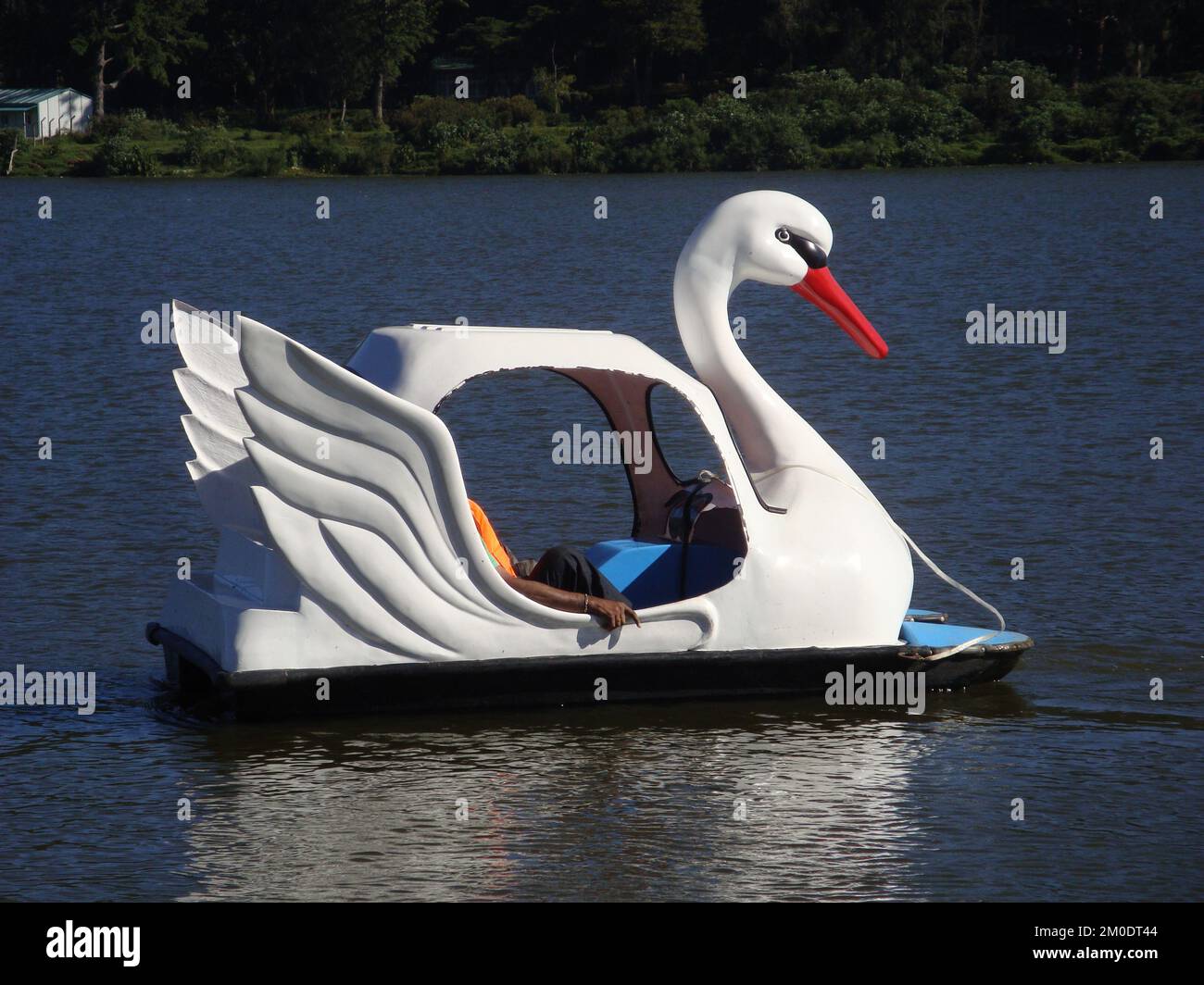 Gite in barca nel lago Gregory a Nuwara Eliya, Sri Lanka. Foto Stock