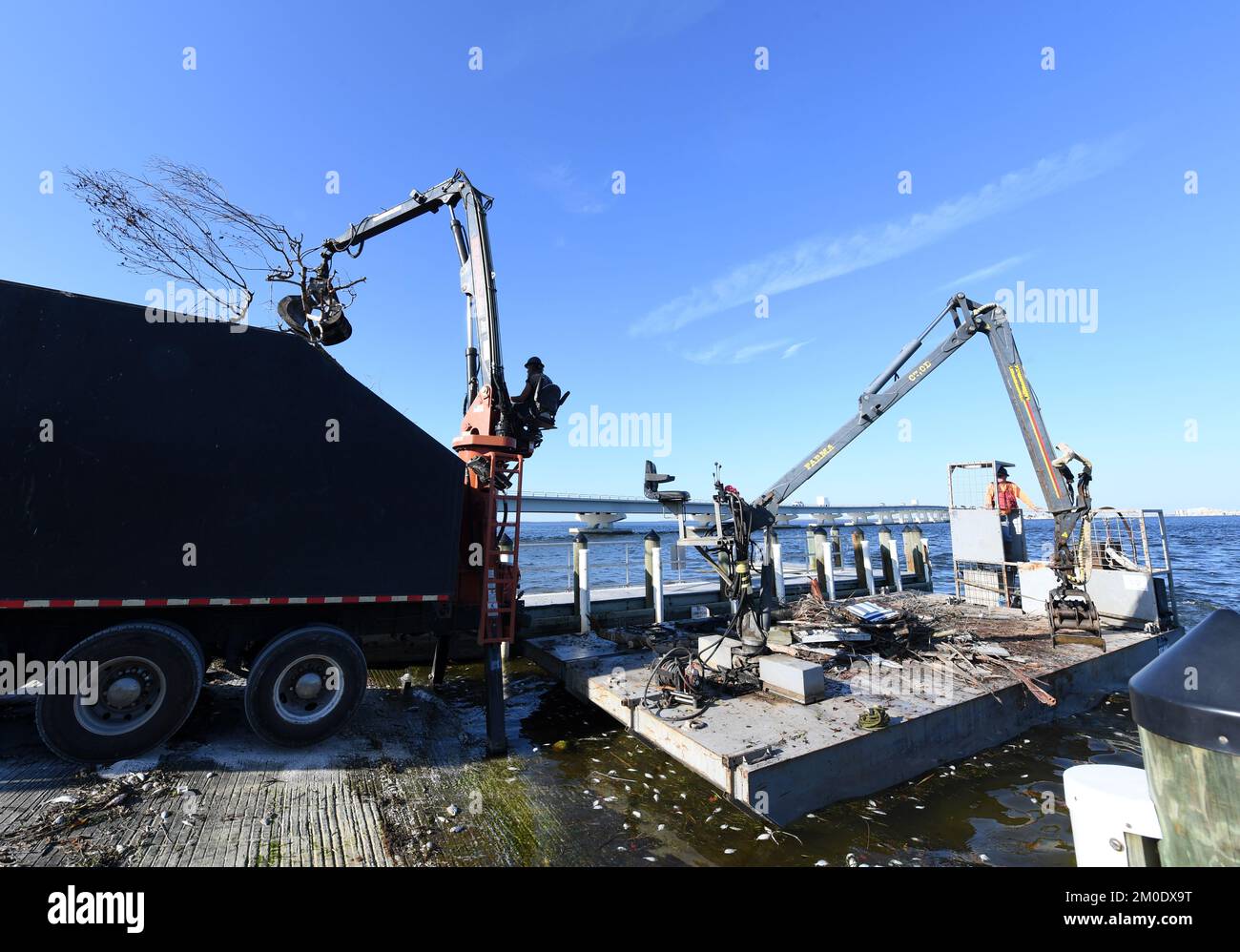 Sanibel, FL, USA--29 novembre 2022--gli equipaggi lavorano per eliminare i detriti da una chiatta che ha raccolto i detriti nei corsi d'acqua vicini. Jocelyn Augustino/FEMA Foto Stock
