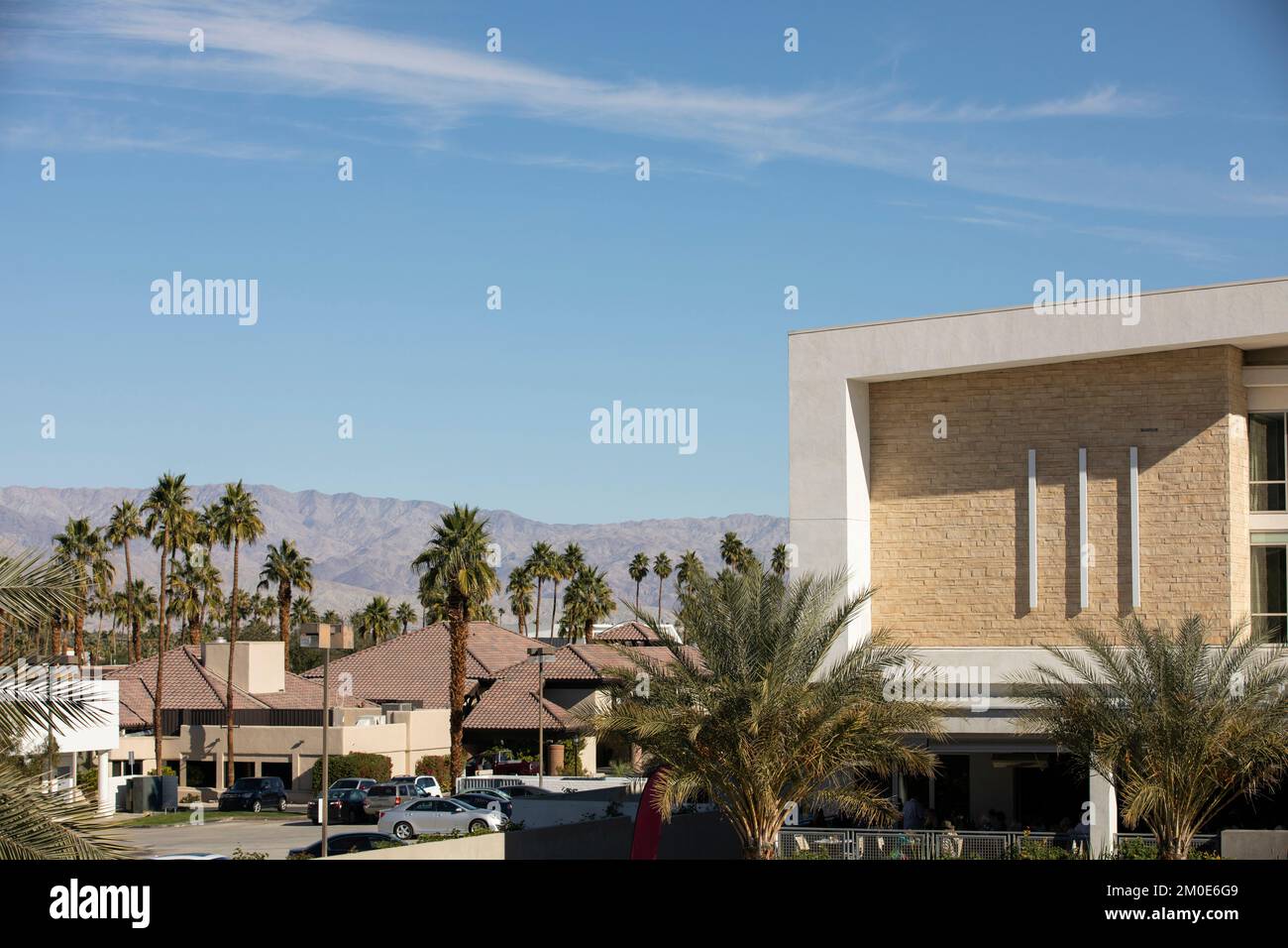 Vista incorniciata da palme del centro di Palm Desert, California, Stati Uniti. Foto Stock