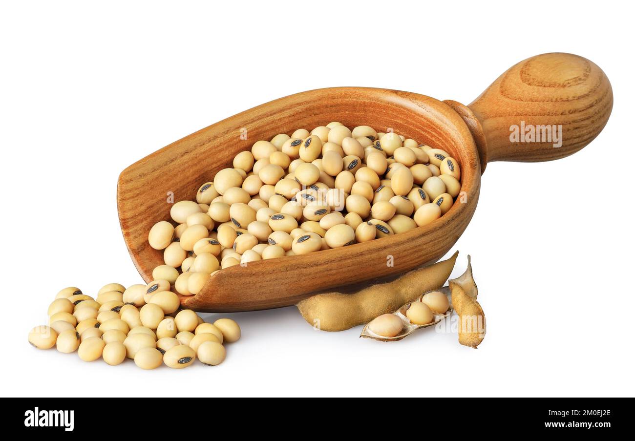 semi di soia in paletta di legno e baccelli vicino isolato su bianco Foto Stock