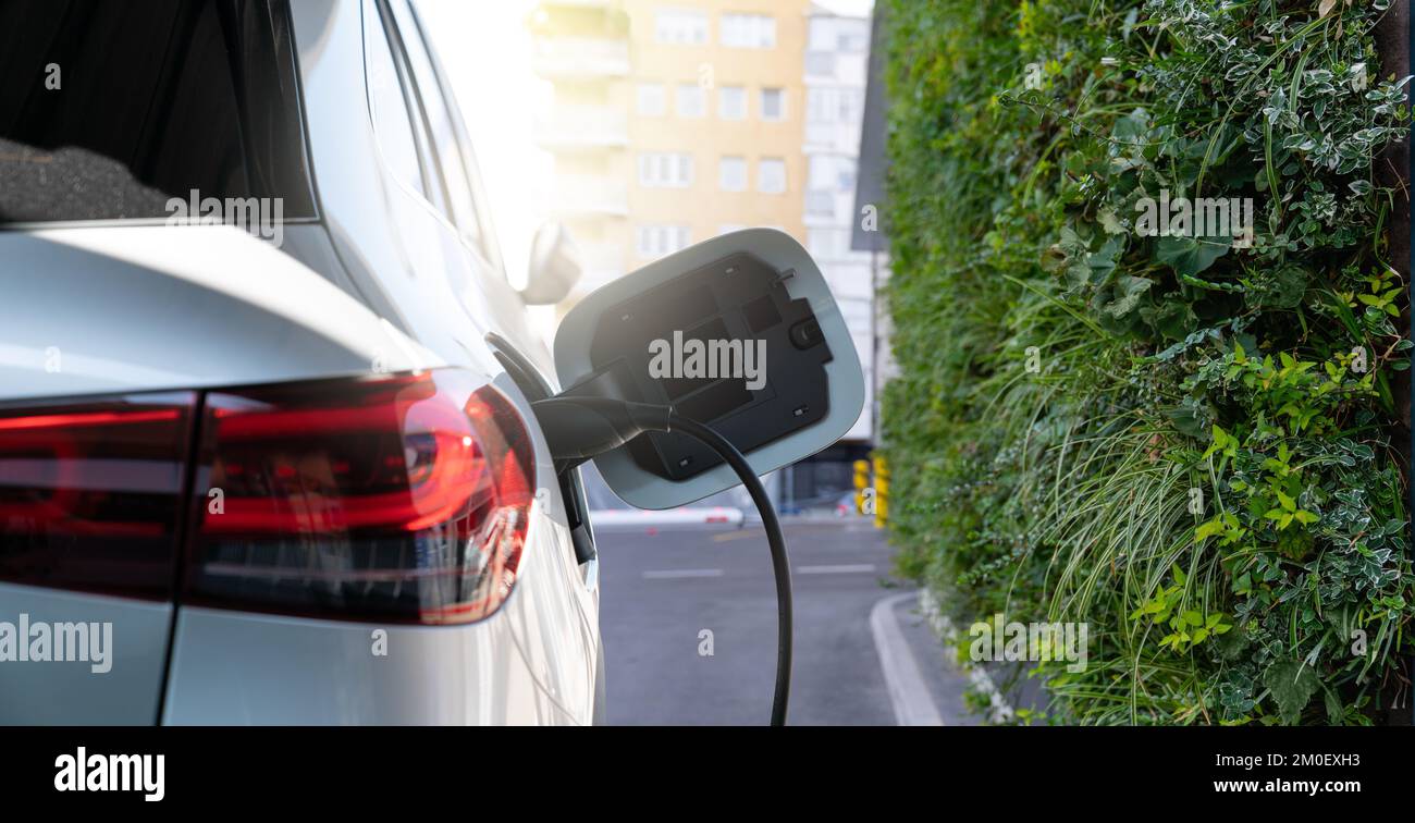 Primo piano di un'auto elettrica con stazione di ricarica sullo sfondo di una parete verde con giardino verticale Foto Stock