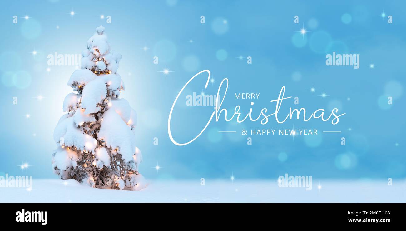 Buon Natale con albero innevato naturale e luci di Natale. Foto Stock