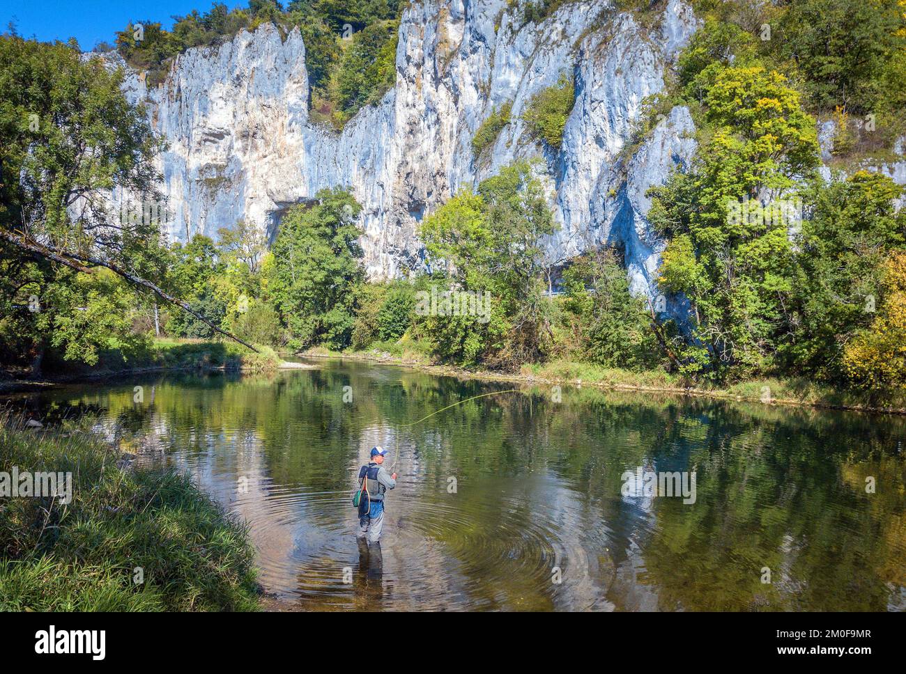 Pescatore di mosca al Danubio superiore, Germania, Baden-Wuerttemberg Foto Stock Pescatore di mosca al Danubio superiore, Germania, Baden-Wuerttemberg Foto Stock