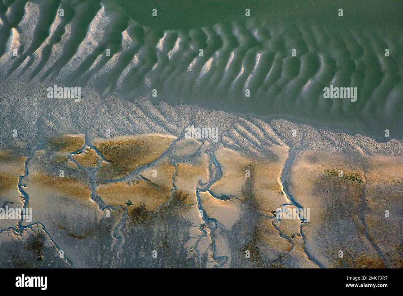 Land van Saeftinghe, Westerschelde, veduta aerea, Belgio, Anversa, Land van Saeftinghe Foto Stock