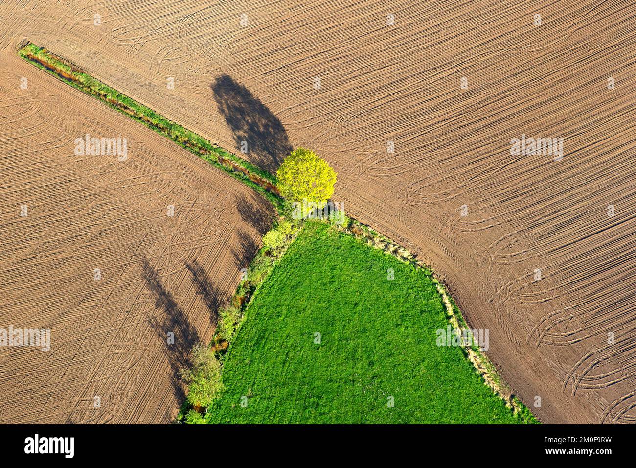 Area agricola con alberi, fotografia aerea, Belgio, Vlaams-Brabant, Averbode Bos en Heide, Averbode Foto Stock