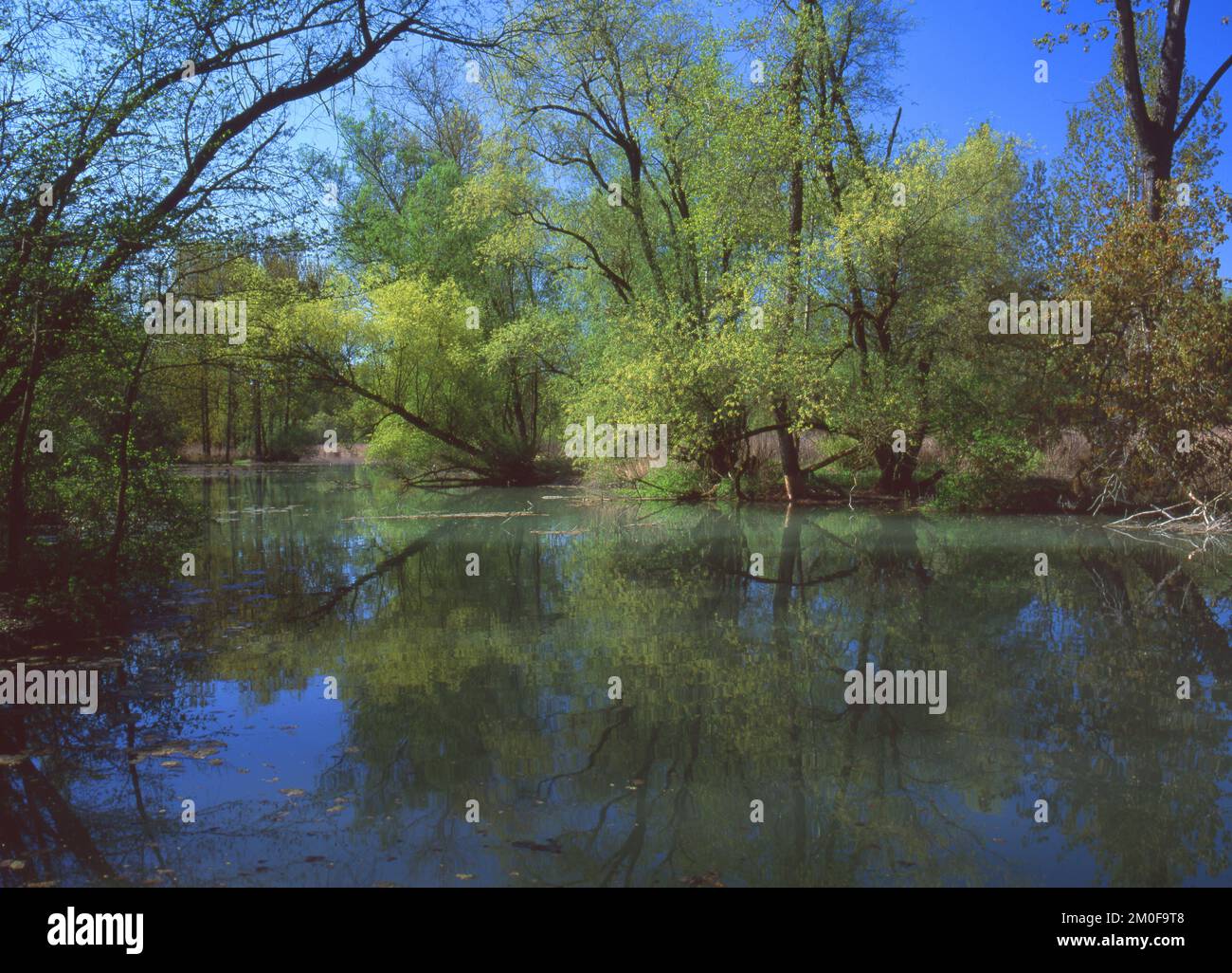 Acquedotto alla foce dell'Isar, Germania, Baviera Foto Stock