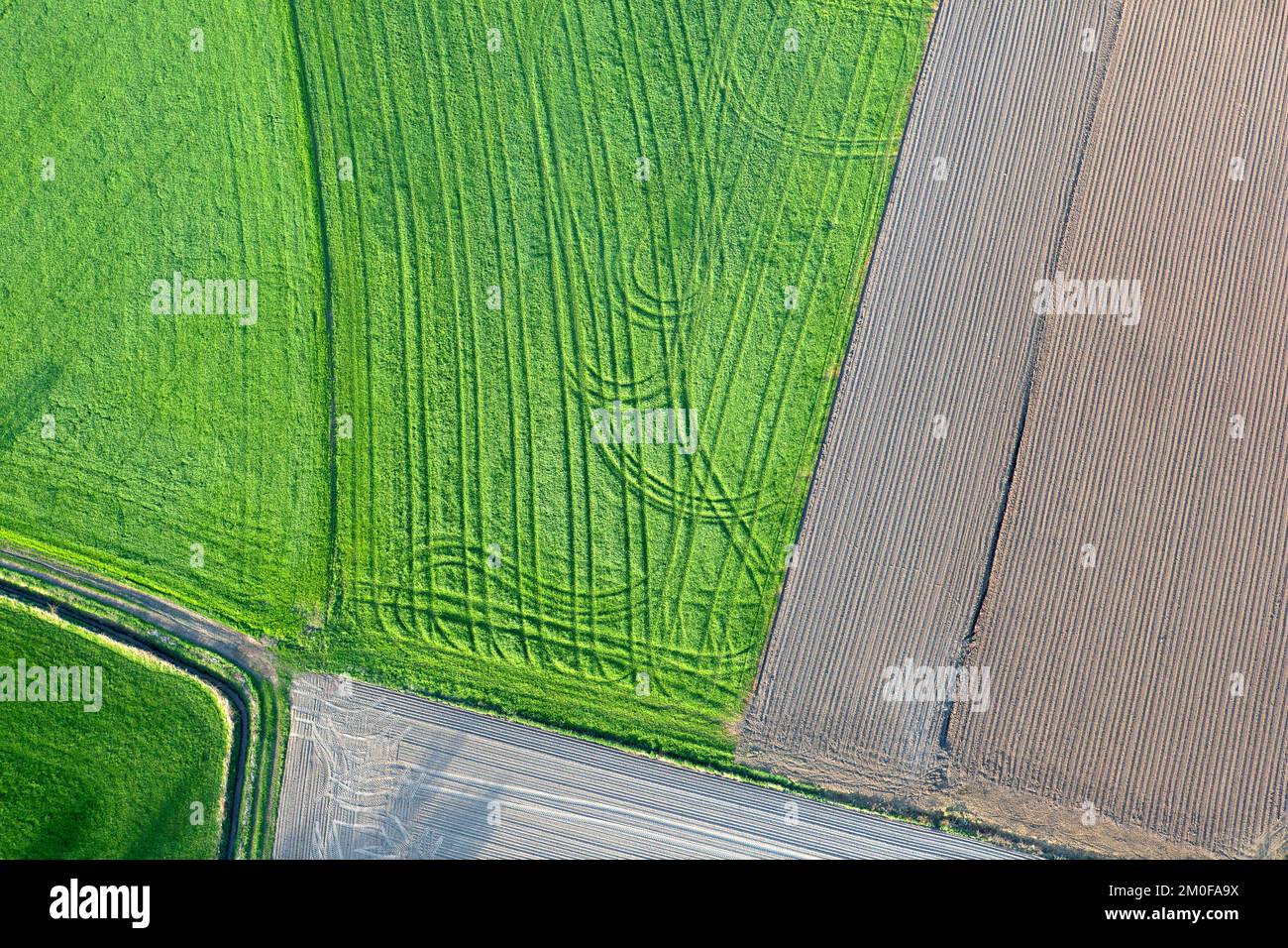 Superficie agricola, fotografia aerea, Belgio, Vlaams-Brabant, Averbode Bos en Heide, Averbode Foto Stock