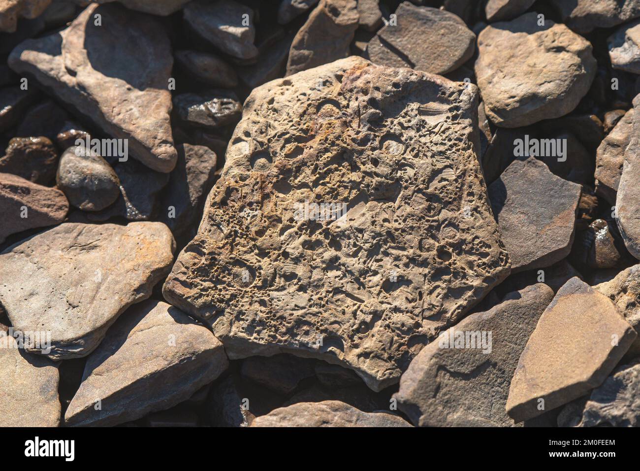 Materiale dello spazio di copia motivo di sfondo a trama naturale Foto Stock