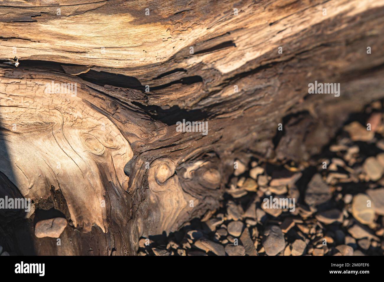 Materiale dello spazio di copia motivo di sfondo a trama naturale Foto Stock