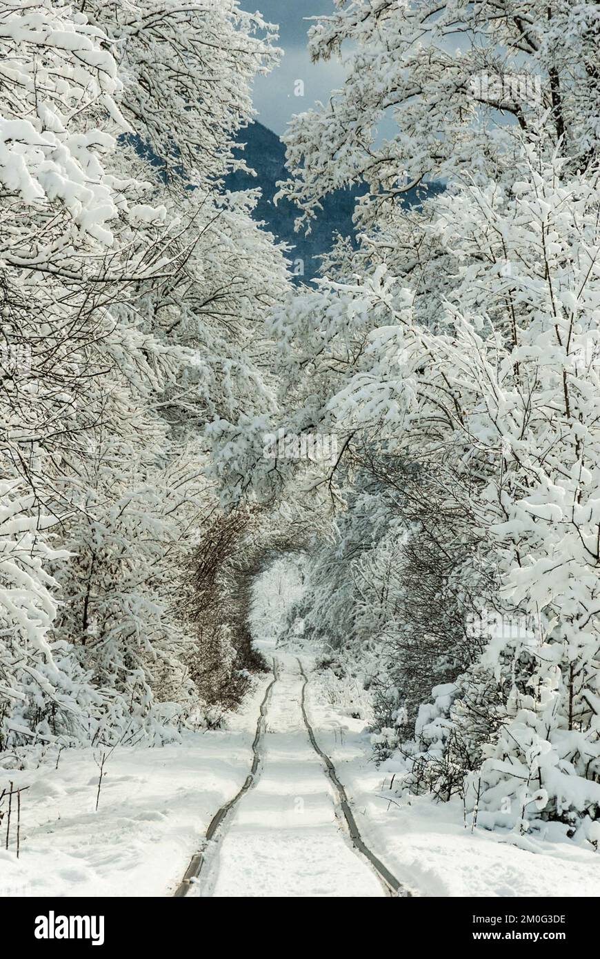 Scenario invernale con foresta innevata e ferrovia. Concetto invernale Foto Stock