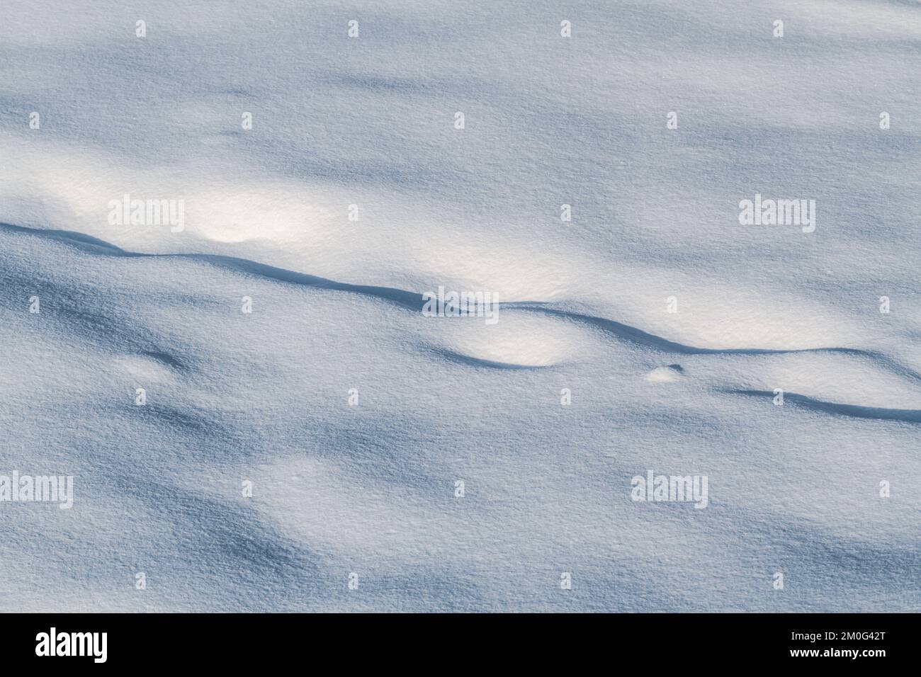 Struttura invernale, fondo innevato. Sfondo natura gelida Foto Stock