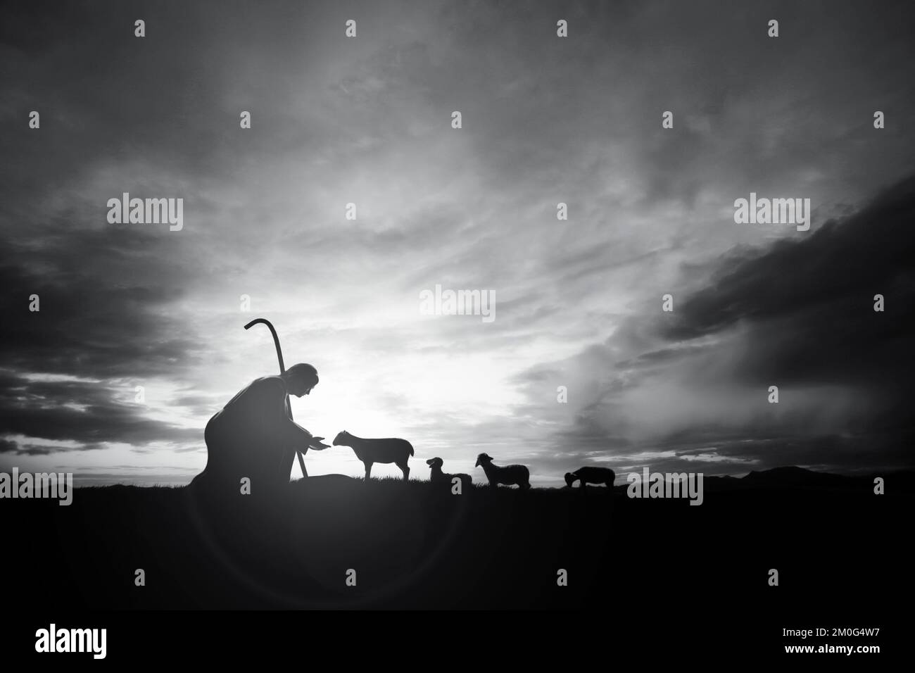 Pastore Gesù Cristo che si prende cura dell'agnello e di un gregge di pecore sul prato con un paesaggio di alba luminoso e crescente Foto Stock