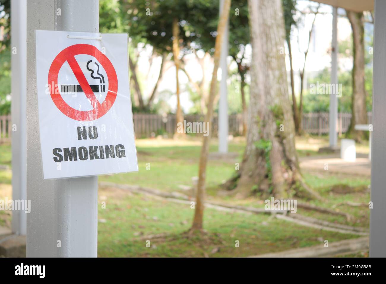 Nessun cartello di fumo su un albero al parco pubblico. Foto Stock