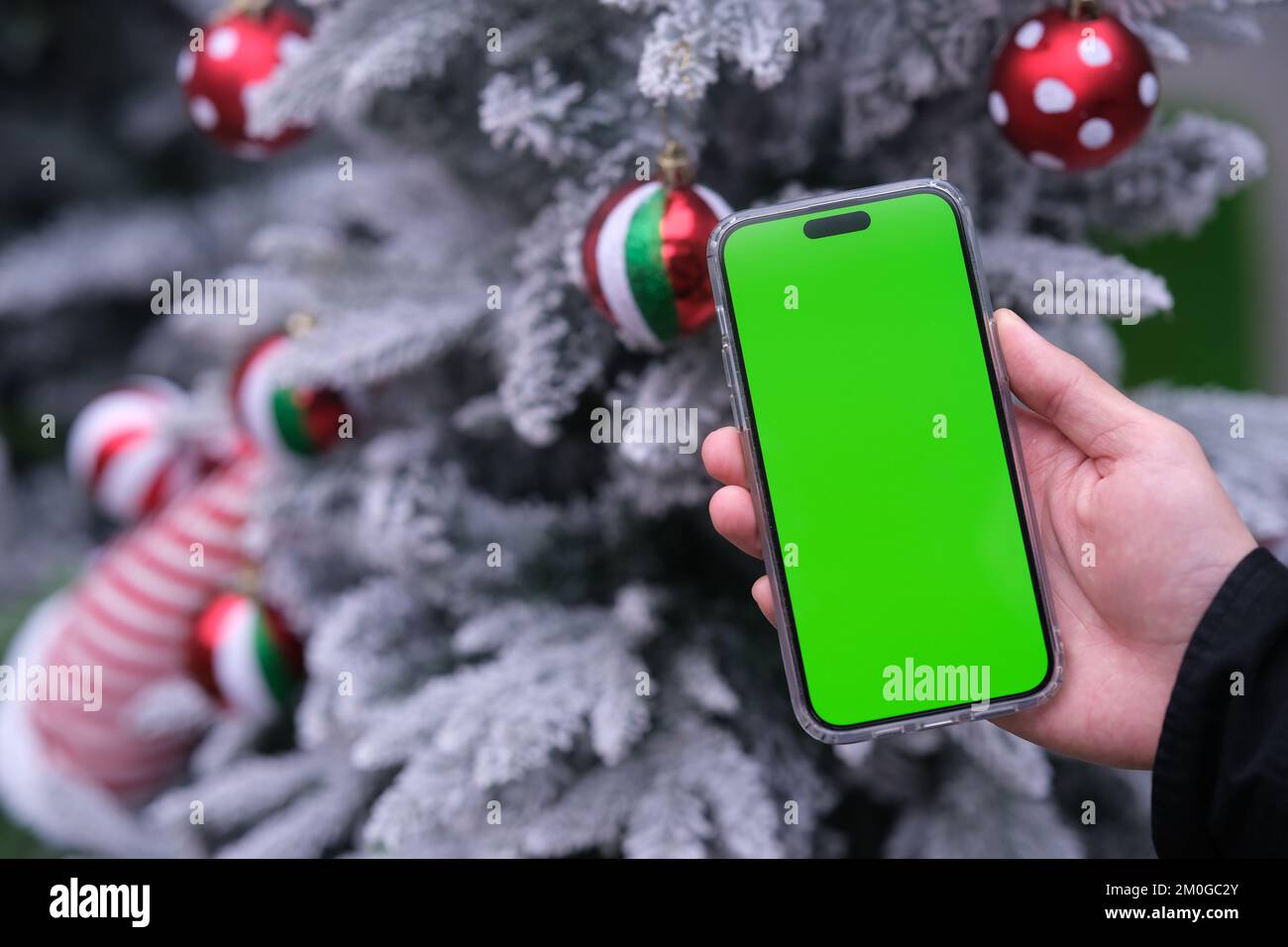 Primo piano mano che tiene verde schermo telefono cellulare accanto albero di Natale Foto Stock