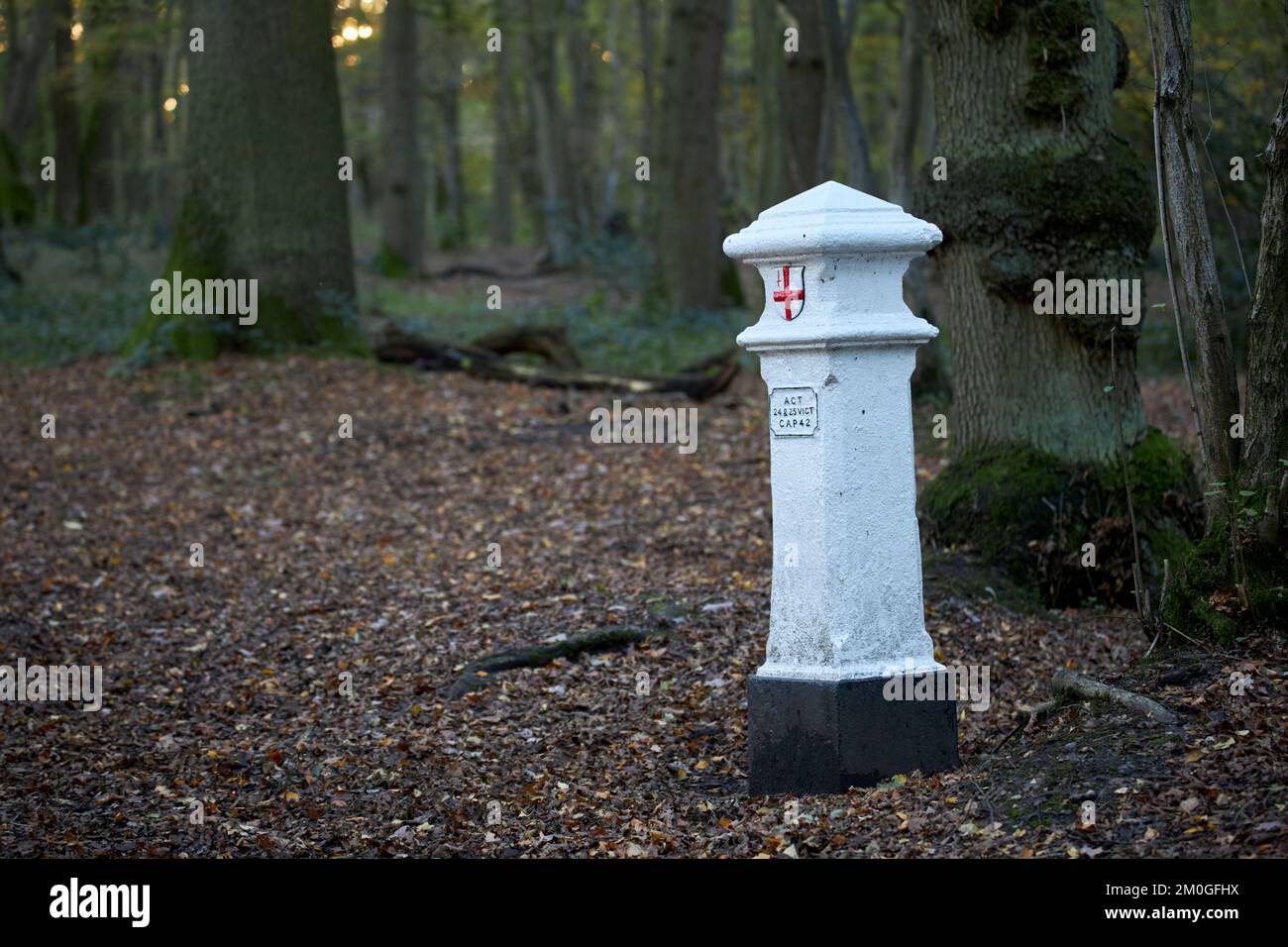 Posto fiscale per il carbone nei boschi di Broxbourne. Foto Stock