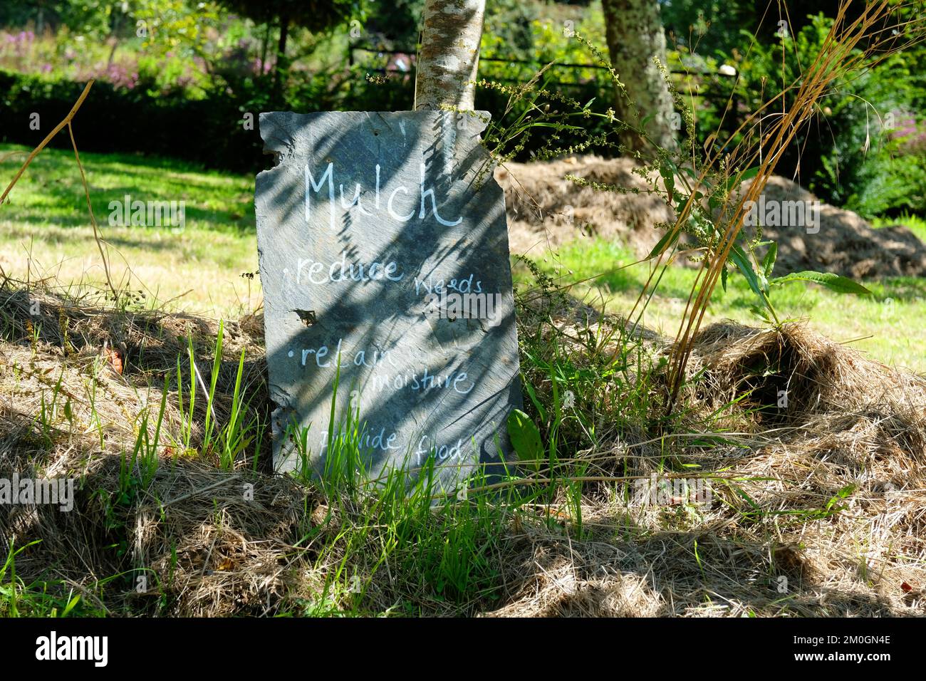 Ardesia segno educare i giardinieri sui benefici di pacciamatura - John Gollop Foto Stock