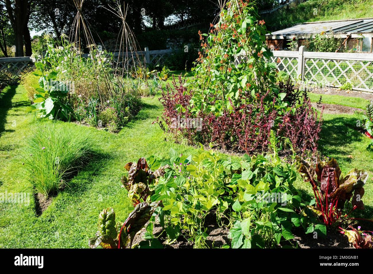 Orto di campagna patch - John Gollop Foto Stock