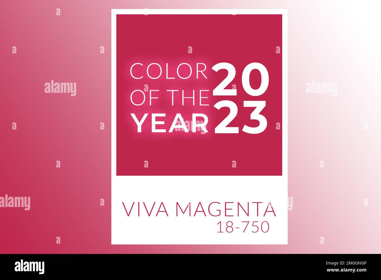 Colore dell'anno 2023. Viva magenta tinta Istituto Pantone. Telaio polaroide bianco. Progetta cornice bordo. Foto Stock