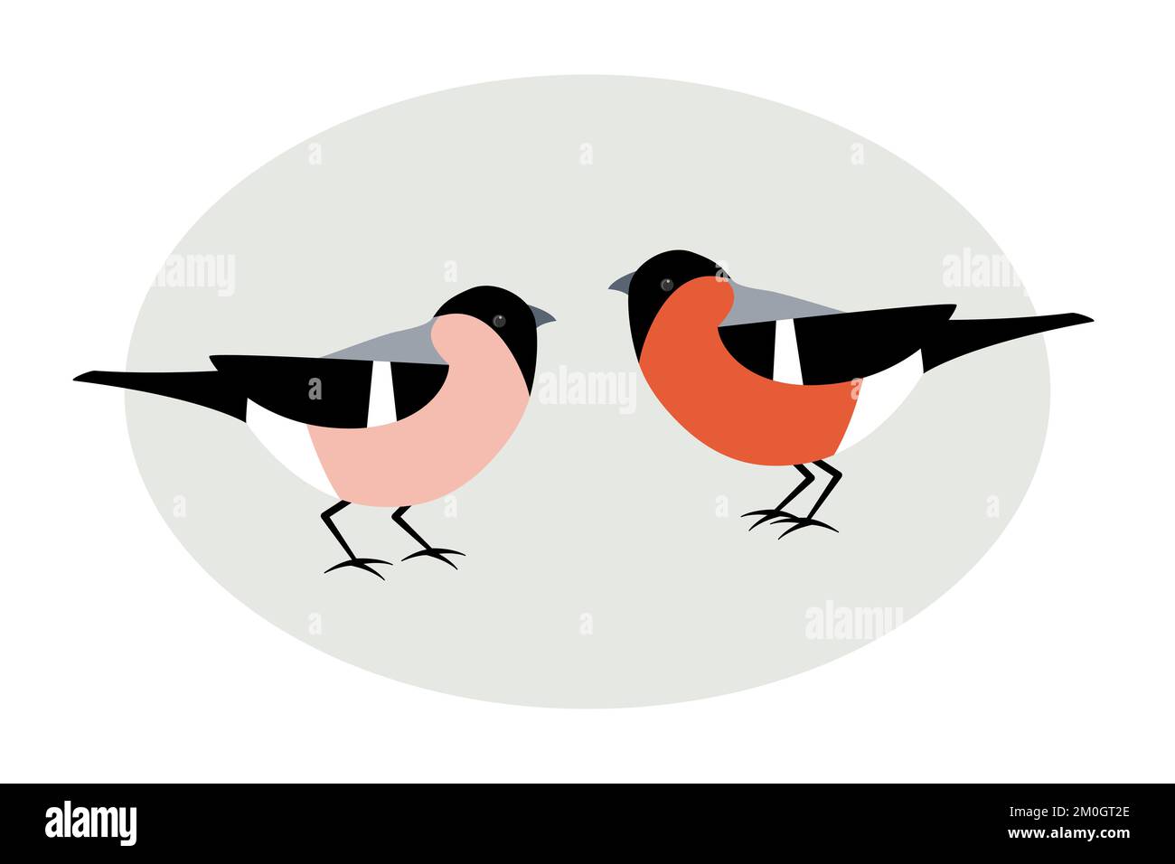 Bullfinch maschio e femmina. Illustrazione vettoriale di due uccelli. Illustrazione Vettoriale