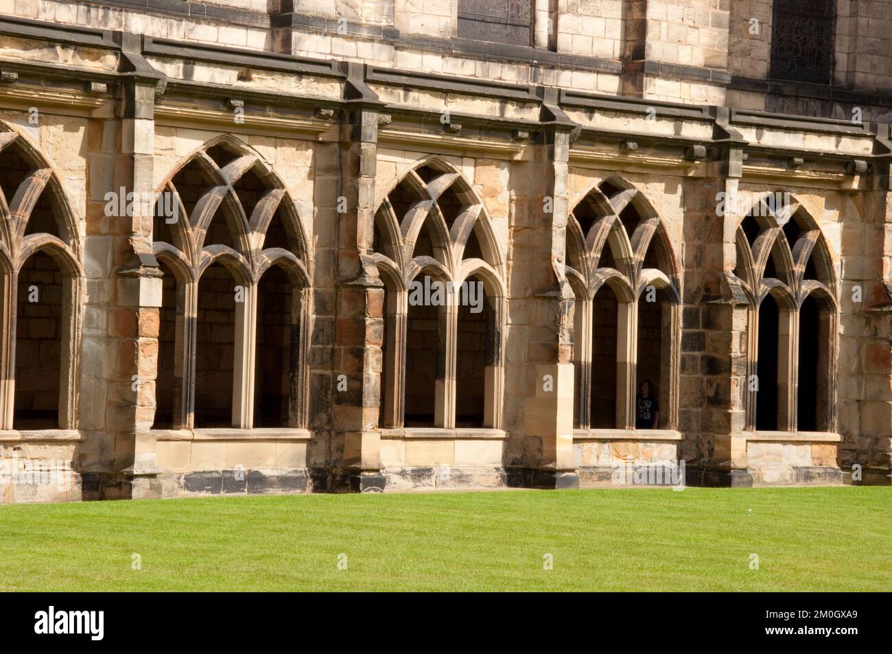 Chiostro, Cattedrale di Durham, Durham, Co Durham, Tyne and Wear, REGNO UNITO. Durham Cathedral è una cattedrale normanna, costruita tra il 1093 e il 1133 nel Ro Foto Stock