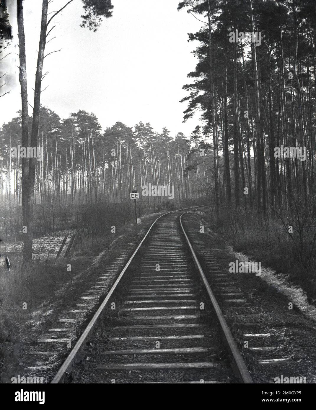 1950s, storico, invernale, gelido, una vista lungo una ferrovia in una foresta, Inghilterra, Regno Unito. Lettere sulla posta accanto alla ferrovia, EE Foto Stock
