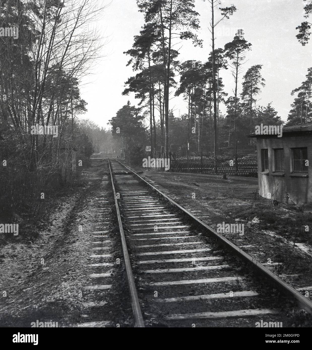 1950s, storico, inverno, gelido, una vista lungo una ferrovia in una foresta, con vecchia capanna di manutenzione accanto ad esso, Inghilterra, Regno Unito. Lettere sulla posta accanto alla ferrovia, LP. Foto Stock