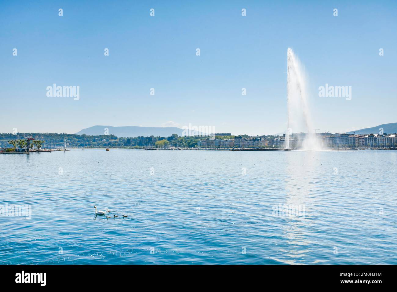 Il Jet d'eau, il punto di riferimento nel bacino del Lago di Ginevra, Cantone di Ginevra, Svizzera, Europa Foto Stock