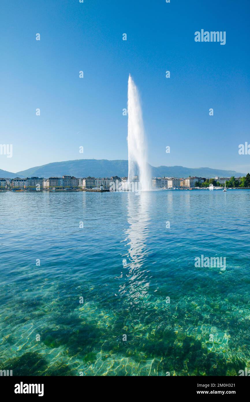 Il Jet d'eau, il punto di riferimento nel bacino del Lago di Ginevra, Cantone di Ginevra, Svizzera, Europa Foto Stock