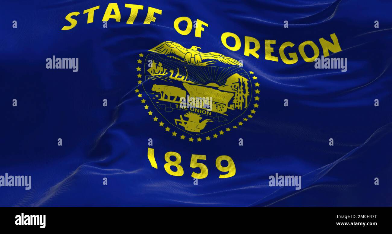 Vista ravvicinata dell'ondulazione della bandiera dello stato dell'Oregon. L'Oregon è uno stato della regione del Pacifico nord-occidentale degli Stati Uniti. Dorso in tessuto testurizzato Foto Stock