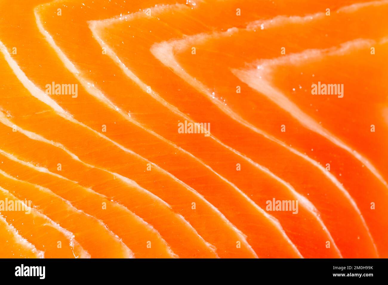 Consistenza di salmone come sfondo. Primo piano di salmone. Foto macro. Foto Stock