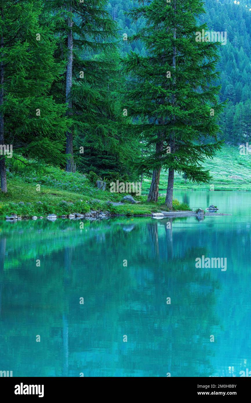 Francia, Hautes Alpes, Villar Saint Pancrace, Lago d'Orceyrette (1927m) Foto Stock