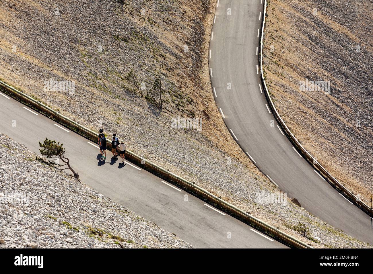 Francia, Vaucluse, Parco Naturale Regionale del Mont Ventoux, Beaumont du Ventoux, strada dipartimentale D974, versante nord, escursionisti Foto Stock