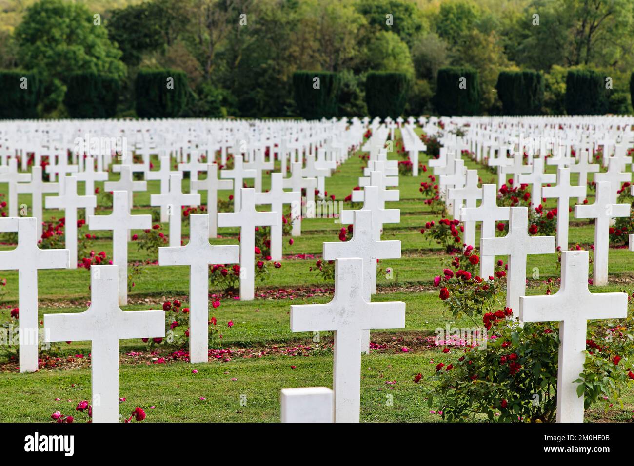 Francia, Mosa, Douaumont, bataille de Verdun, ossuaire de Douaumont, tombes de soldats align?es Foto Stock