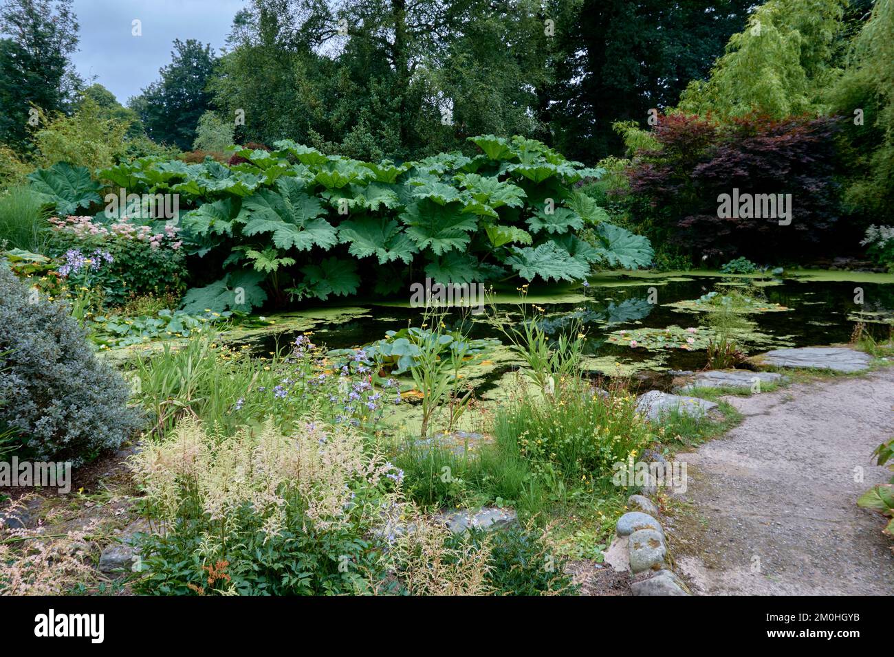 Laghetto dei giardini di Threave Gardens vicino a Castle Douglas, Dumfries e Galloway, Scozia. Foto Stock