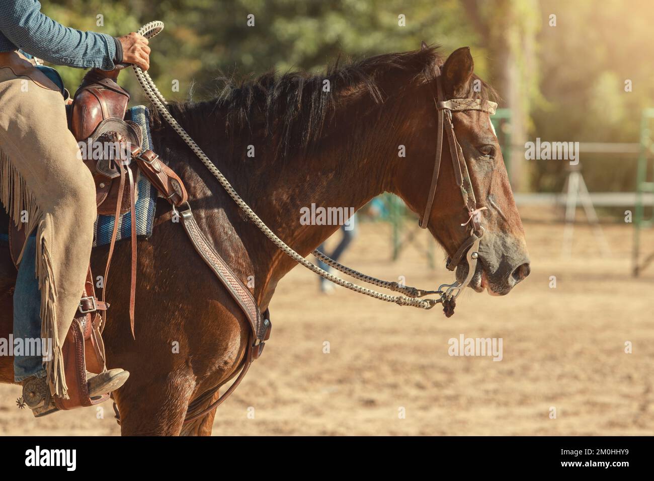 Equitazione di cowboy in fattoria Foto Stock