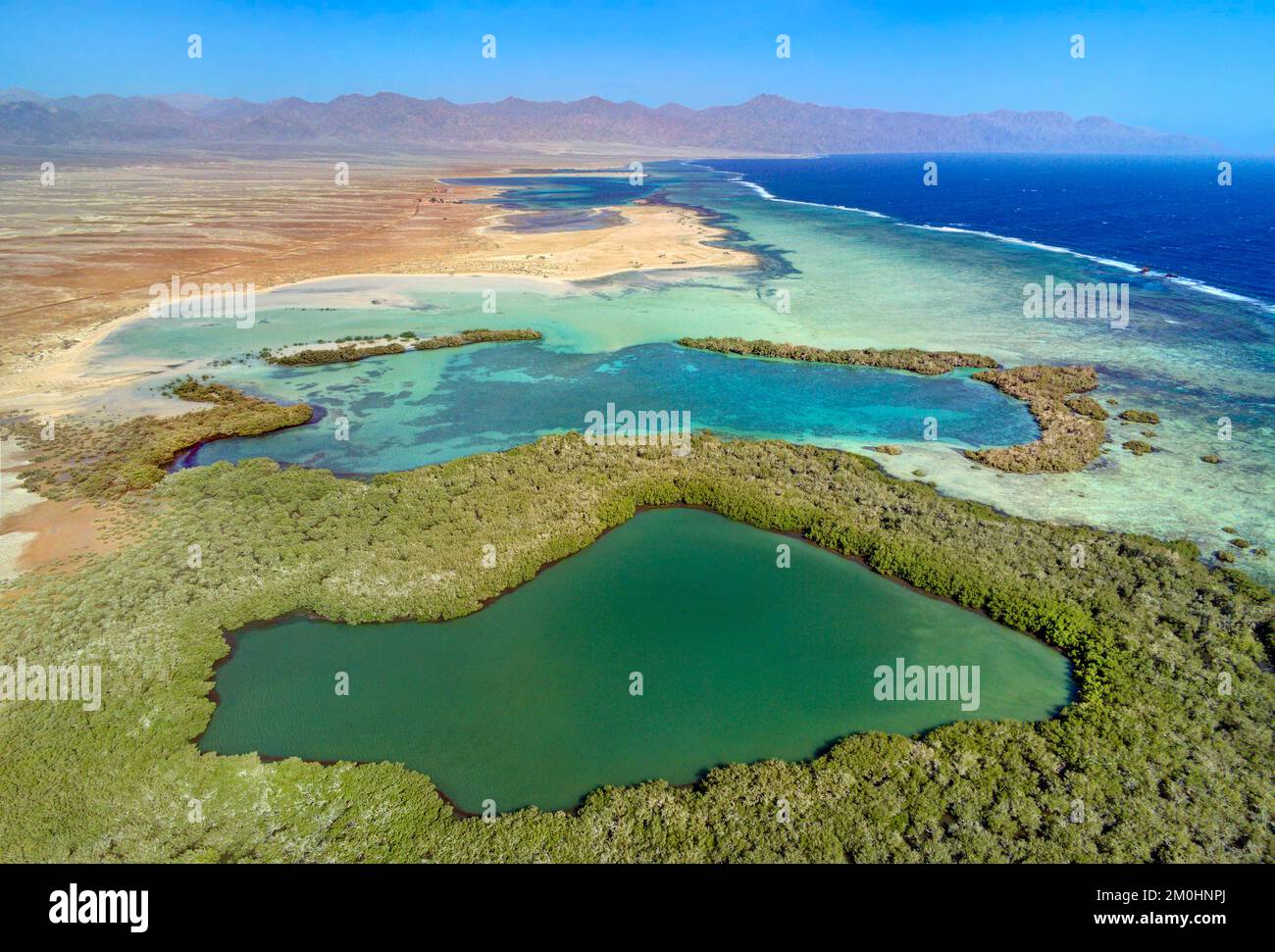 Egypte, Sina?, Sharm-el-sheikh, Nabq area protetta e le sue mangrovie (vista aerea) Foto Stock