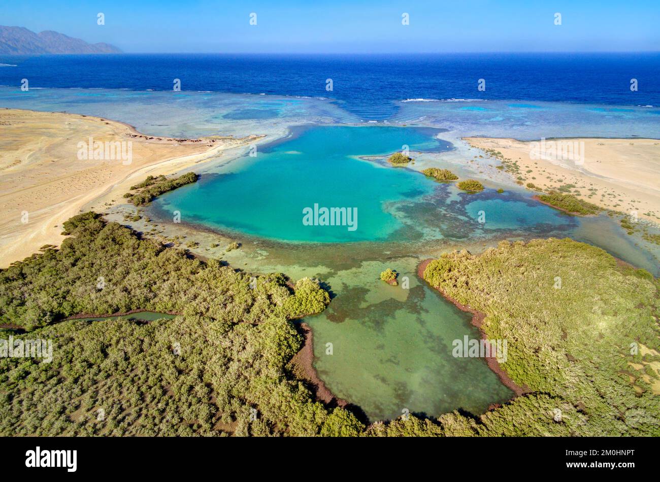 Egypte, Sina?, Sharm-el-sheikh, Nabq area protetta e le sue mangrovie (vista aerea) Foto Stock
