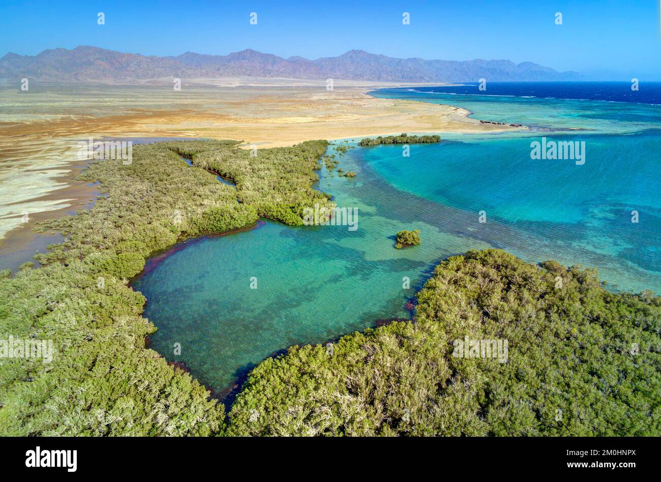 Egypte, Sina?, Sharm-el-sheikh, Nabq area protetta e le sue mangrovie (vista aerea) Foto Stock