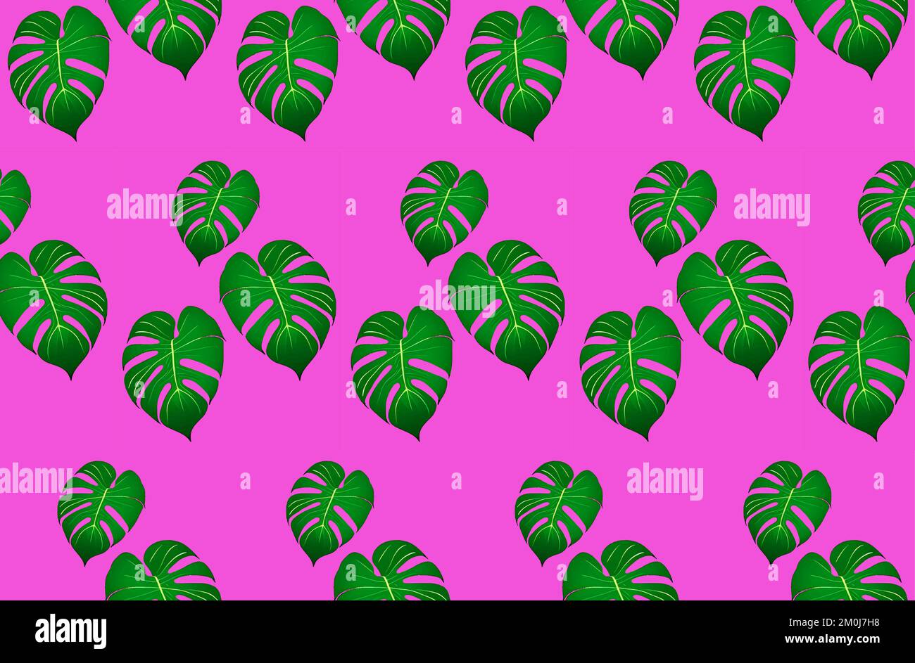 Monstera foglie su sfondo rosa, vettore senza cuciture Illustrazione Vettoriale