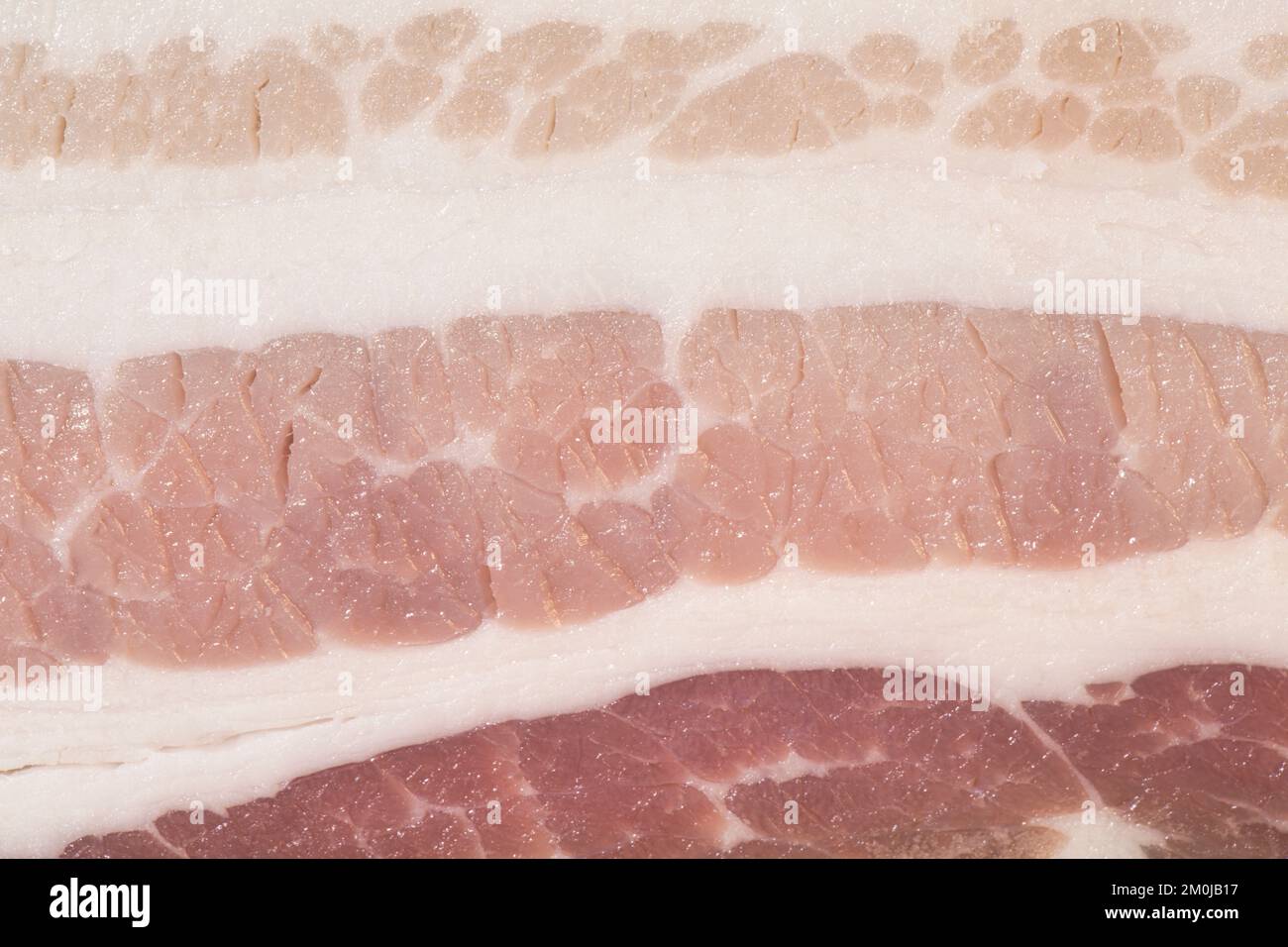 Struttura di pancetta cruda come sfondo. Un bicchierino di pancetta cruda. Macro photo.bacon. Foto Stock
