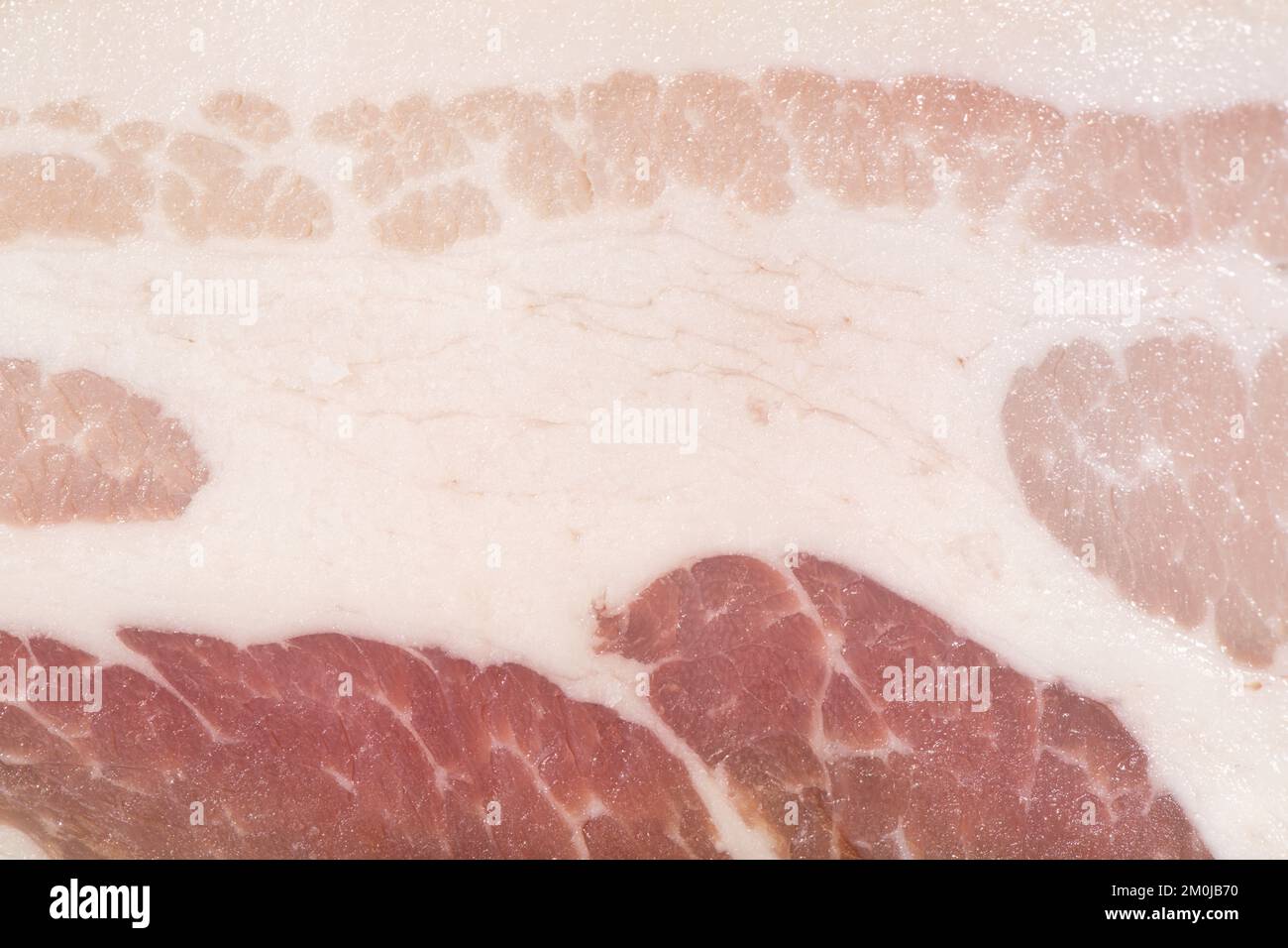 Struttura di pancetta cruda come sfondo. Un bicchierino di pancetta cruda. Macro photo.bacon. Foto Stock
