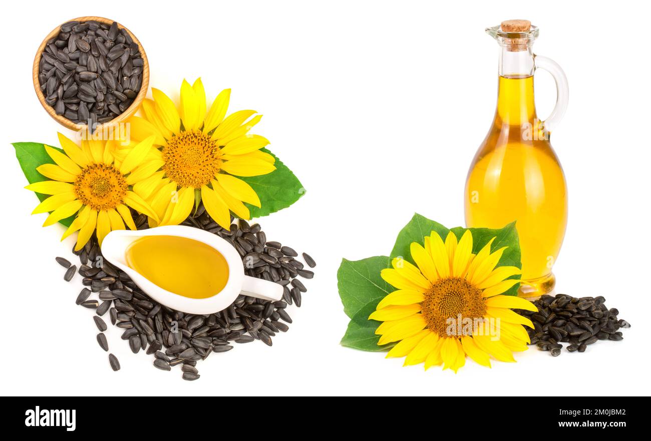 Olio di semi di girasole, semi e fiori isolati su sfondo bianco. Vista superiore Foto Stock