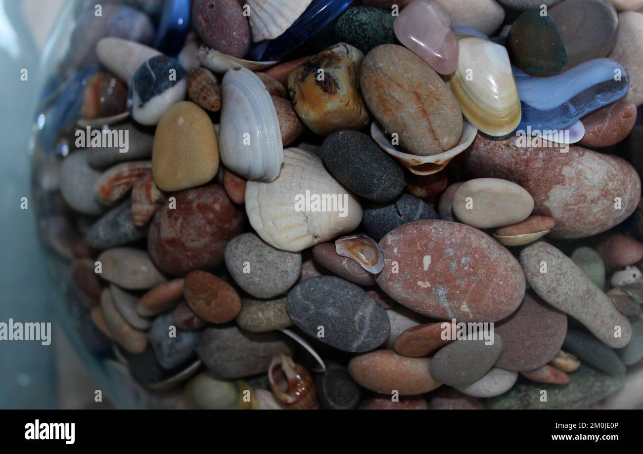 Mix di rocce marine rotonde e conchiglie in Un vaso di vetro Foto Stock