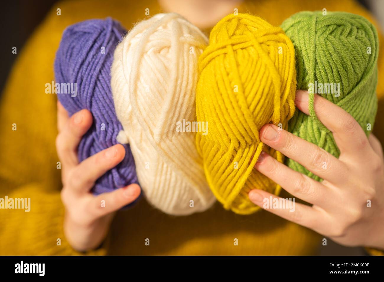 Lavorazione a maglia hobby.matasse di filato di vari colori in mani in a in un maglione di lana di senape.lana filato in giallo, beige, viola e verde.Hobby e. Foto Stock