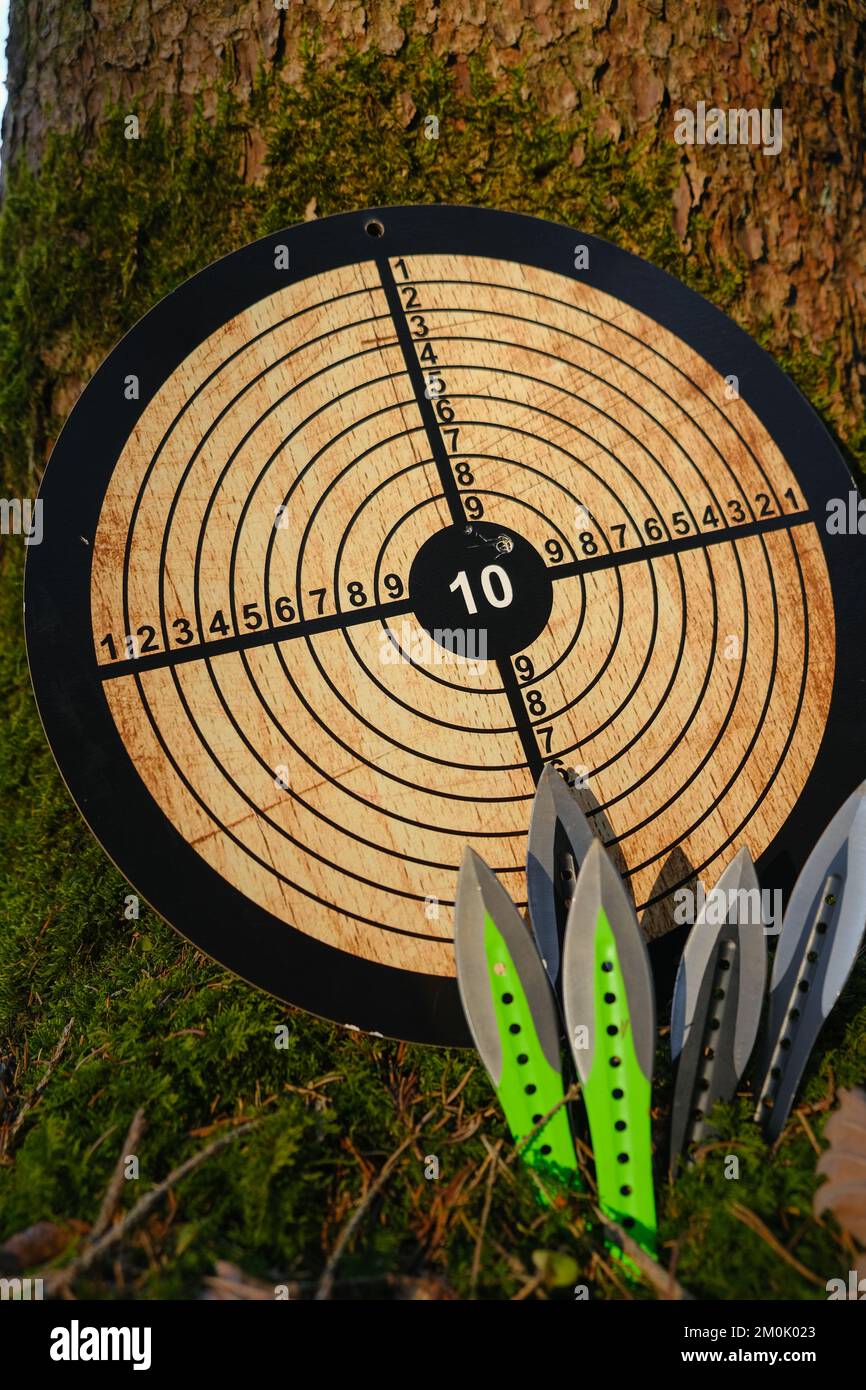 Lancio coltelli nero e verde set di colori e bersaglio di legno per gettare sotto l'albero in Forest.Outdoor sports.Sports attrezzatura. Foto Stock