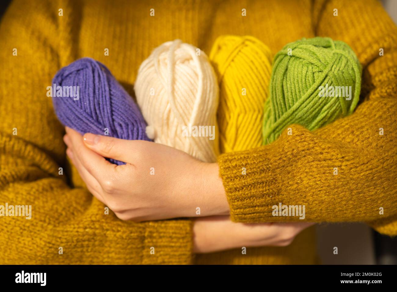 Matasse di filato di vari colori in mano in a in un maglione di lana di senape. Filato di lana in giallo, beige, viola e verde Foto Stock