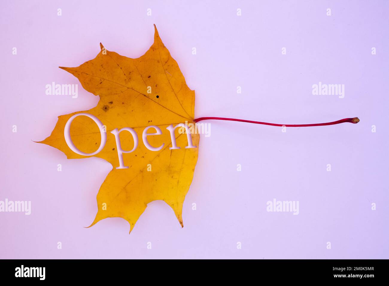 Foglie autunnali, oggetti con testo aperto. Motivi naturali, design a colori. Foto Stock