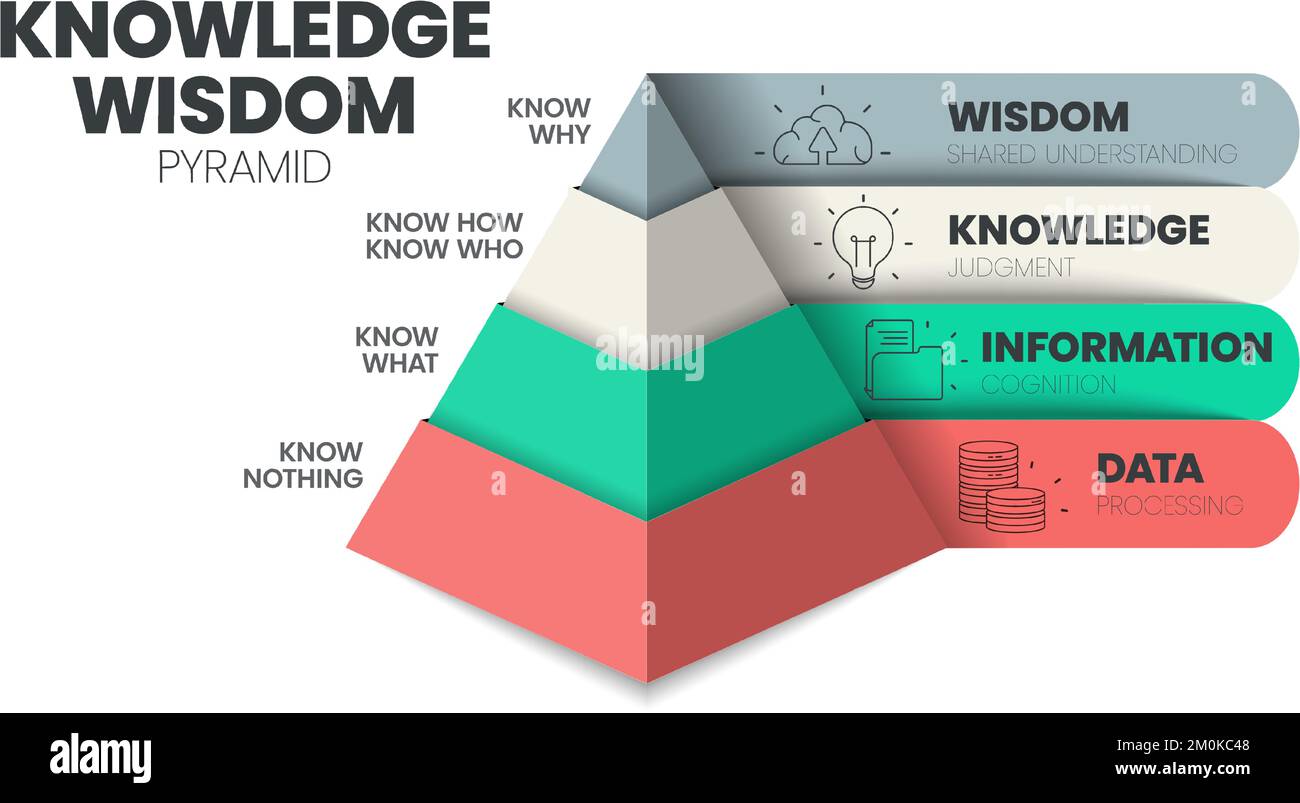 Modello infografico della gerarchia della saggezza della conoscenza con icona ha saggezza (comprensione condivisa), conoscenza (giudizio), informazioni (cognizione), dati (Proc Illustrazione Vettoriale