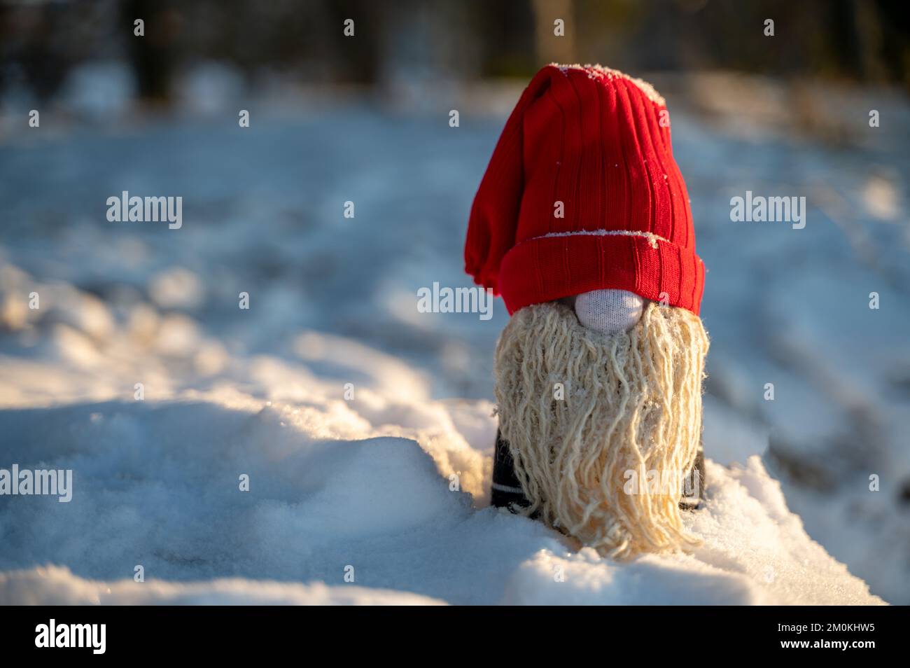 Gnomo di Natale fatto a mano sulla neve nella foresta. Upcycle, realizzato con calze vecchie. Spazio di copia rimasto Foto Stock